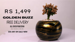 Golden Buzz 7th Version Pot