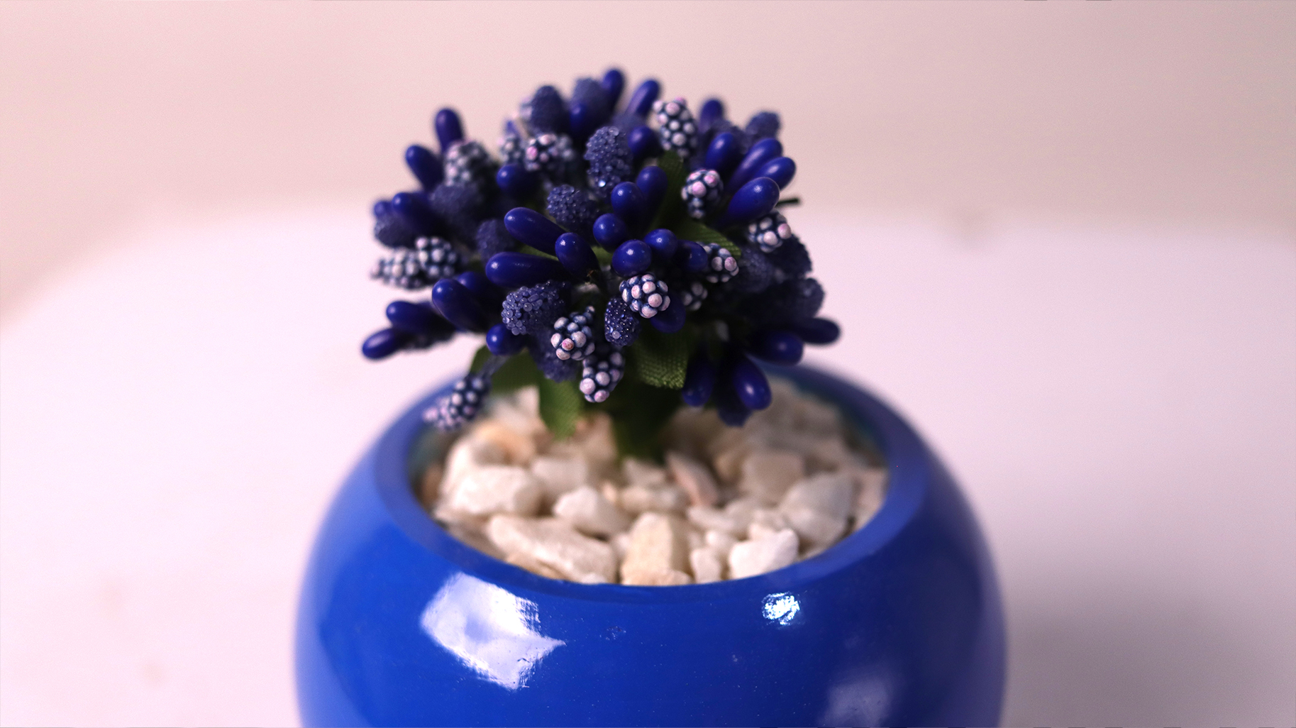 Blue Queen - Image 3