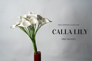 Calla Lilly - 16 Calla Lily With White Spandex