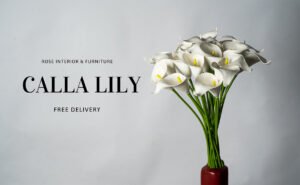 Calla Lilly - 24 Calla Lily With Yellow Spandex