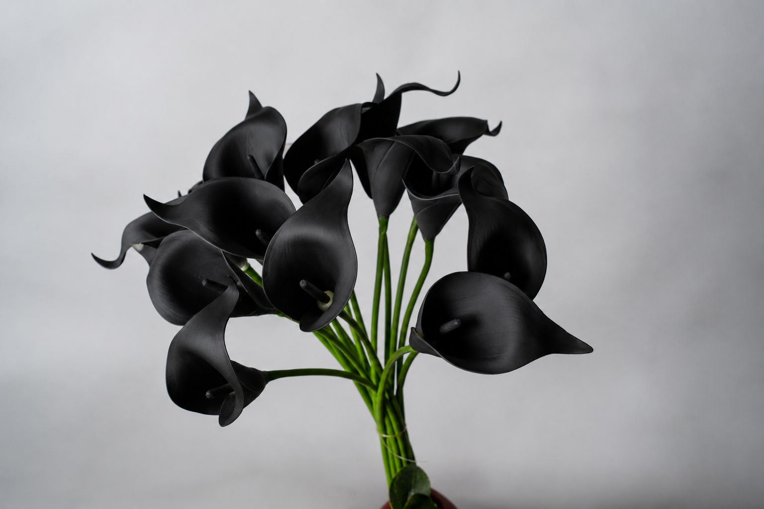 Calla Lily Darkness Collection - Image 6