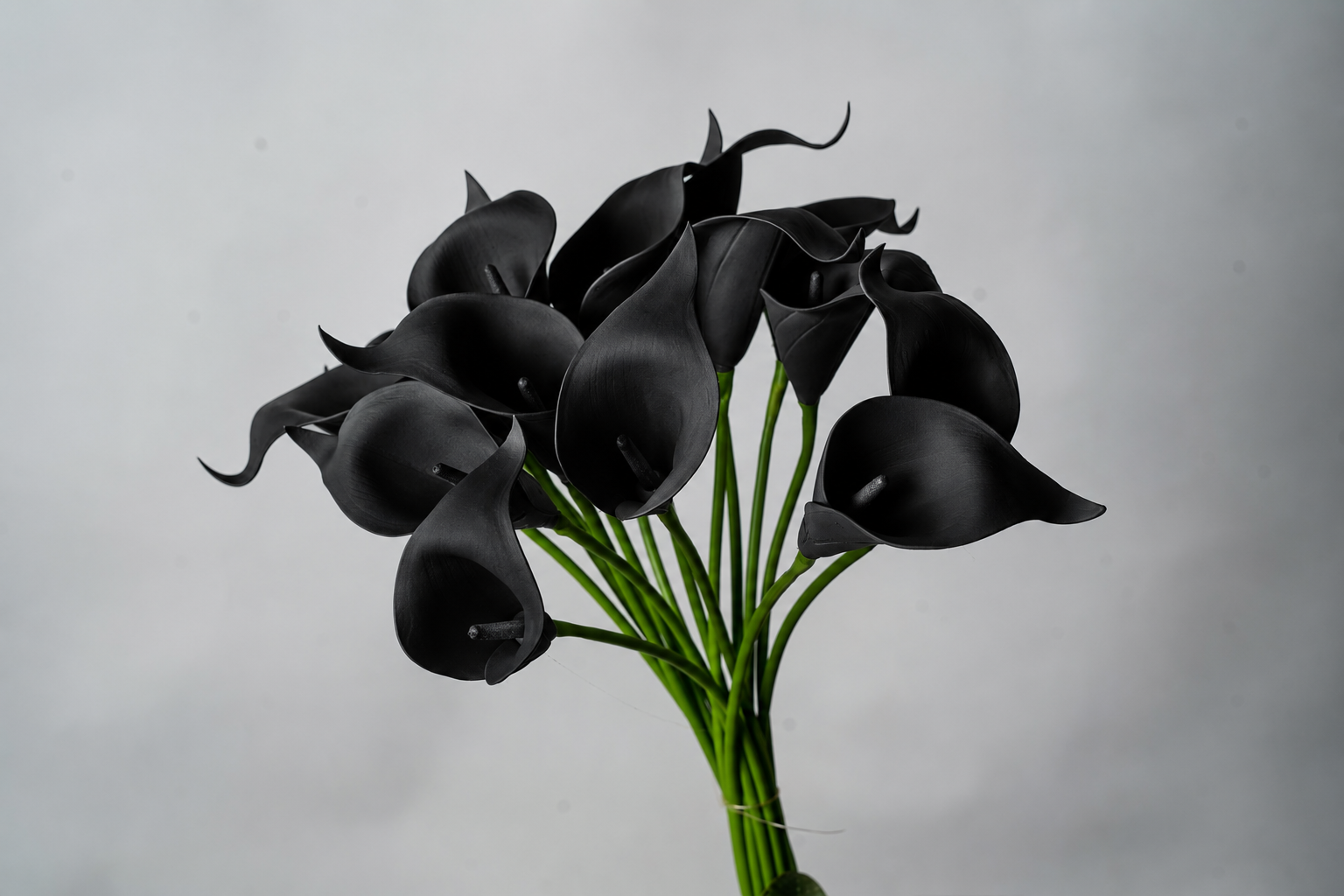 Calla Lily Darkness Collection - Image 5